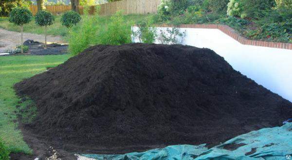 Грунт. Почвогрунт. Торфогрунт. Доставка СПб.