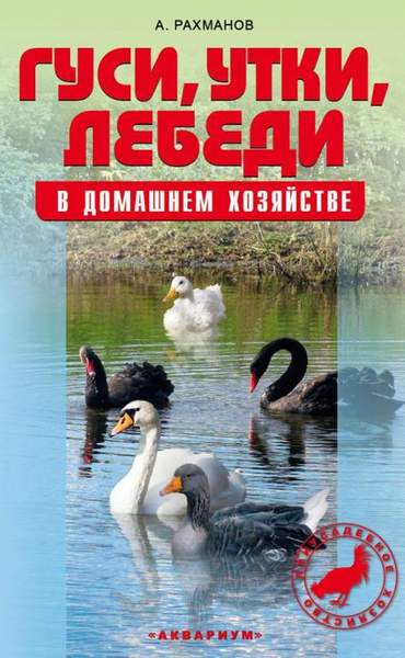 Гуси, утки, лебеди в домашнем хозяйстве