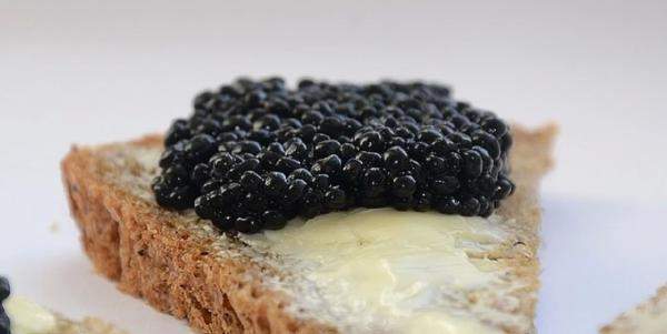 Икра осетра