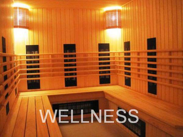 ИНФРАКРАСНЫЕ САУНЫ. СТРОИТЕЛЬСТВО, РЕКОНСТРУКЦИЯ, ОТДЕЛКА.
