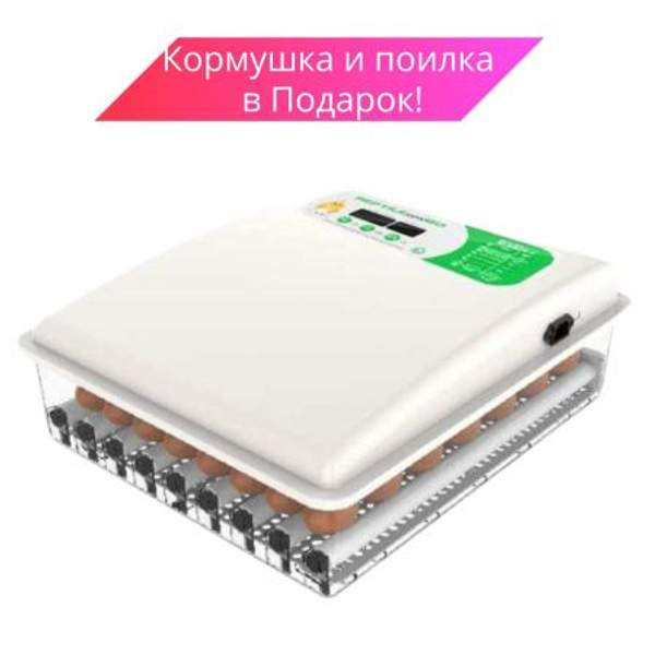 Инкубатор для яиц автоматический 220в 12в цифровой с гигрометром 64 яйца с измерителем влажности, вентилятором и автопереворотом