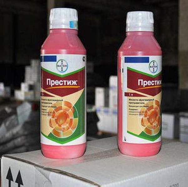 Инсектициды ПРЕСТИЖ