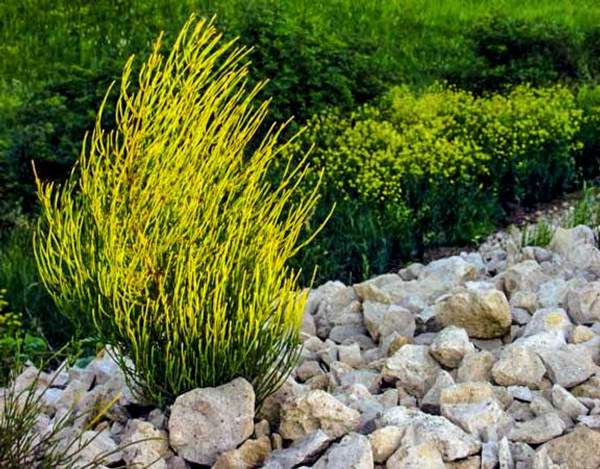 Известняковый щебень М 600 "Медвежья Гора"