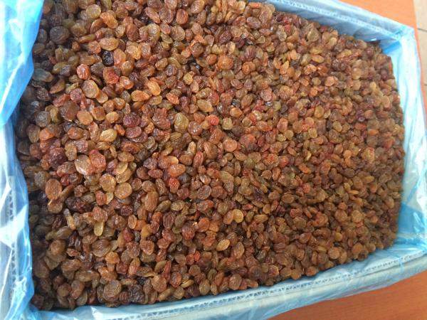 Изюм Афганистан