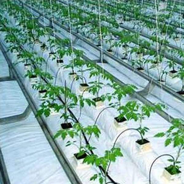 Капельный полив