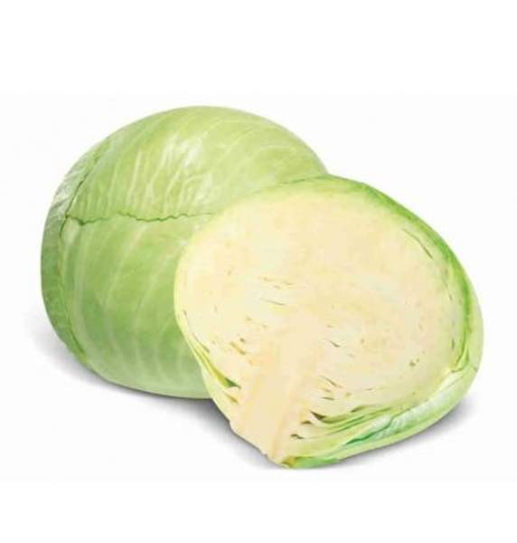 Капуста Белокочанная