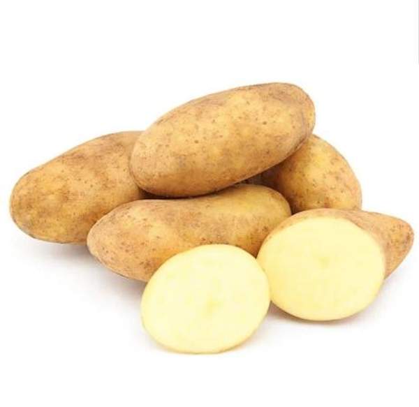 Картофель Египет