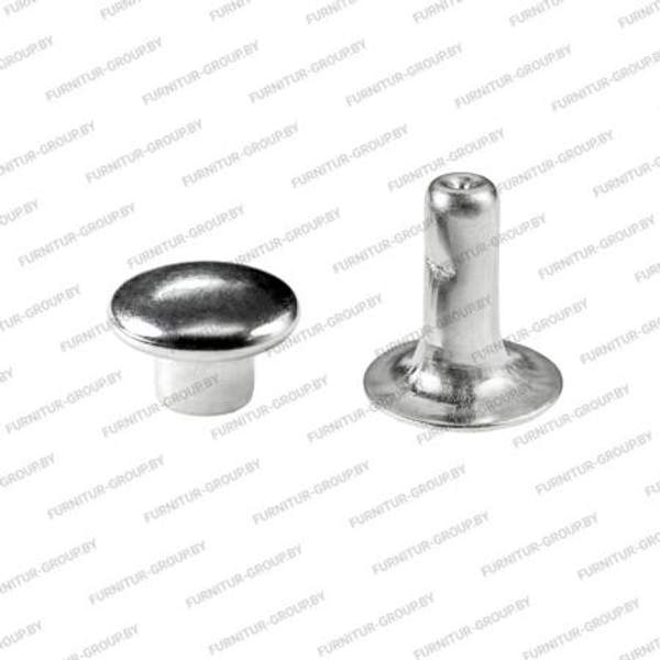 Хольнитены