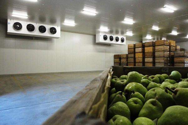 Холодильные камеры бу в наличии и под заказ