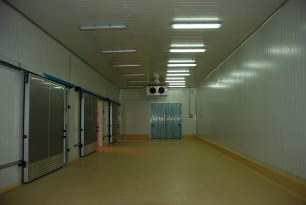 Холодильные камеры для хранения продукции