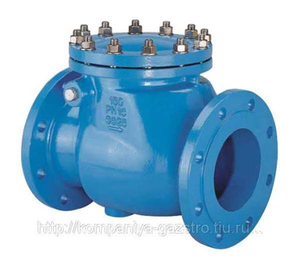 Клапан обратный 19лс53нж