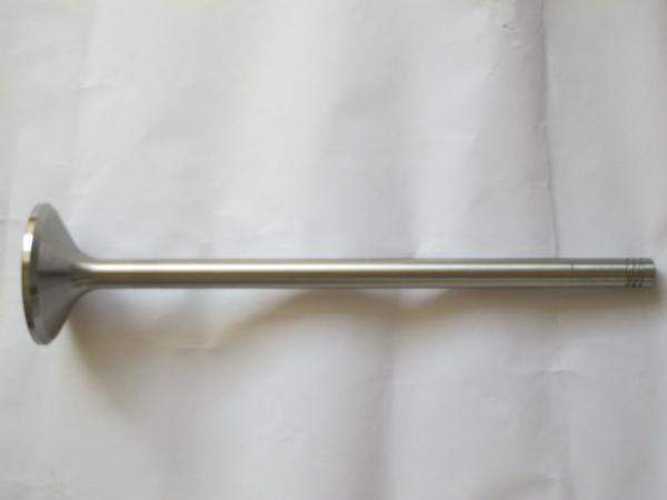 Клапан выпускной Д50.09.010