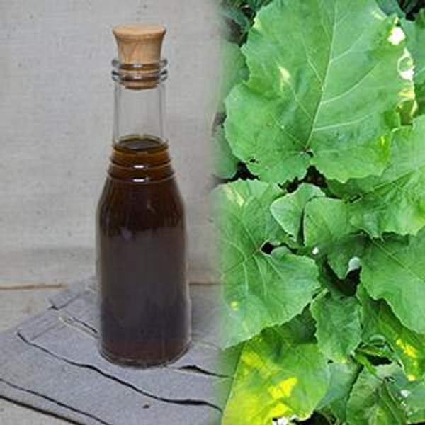 Клеточный сок листьев и корней лопуха 250 мл.