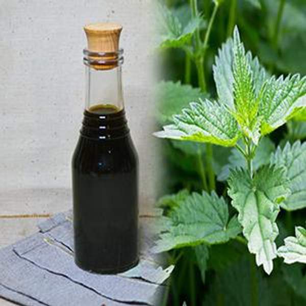 Клеточный сок листьев крапивы 250 мл.