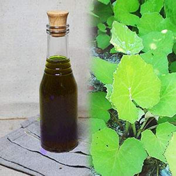 Клеточный сок листьев мать-и-мачехи 250 мл.