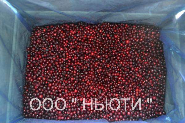 Клюква, брусника,черника , рябина красная,белые грибы замороженные