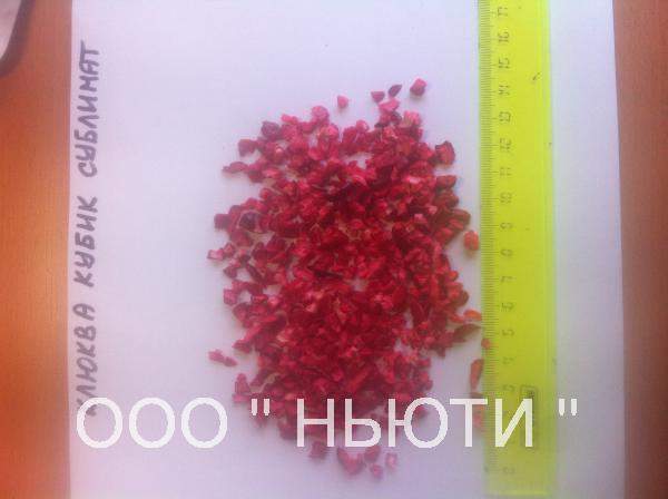 Клюква сублимированная