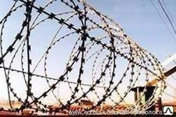 Колючая проволока ЕГОЗА СББ 500-50-3 ГОСТ 285-69