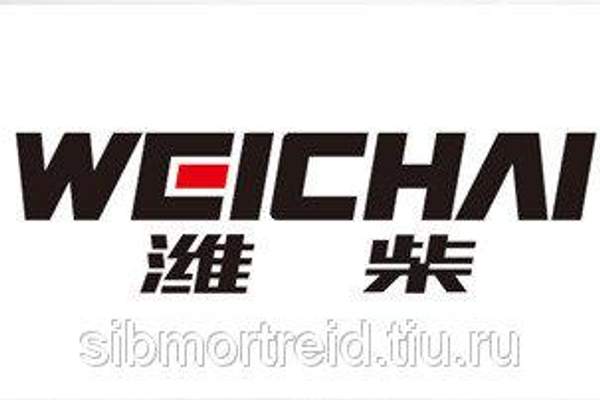 Комплект топливных трубок 13031631 для двигателя TD226В (DEUTZ), WP4, WP6