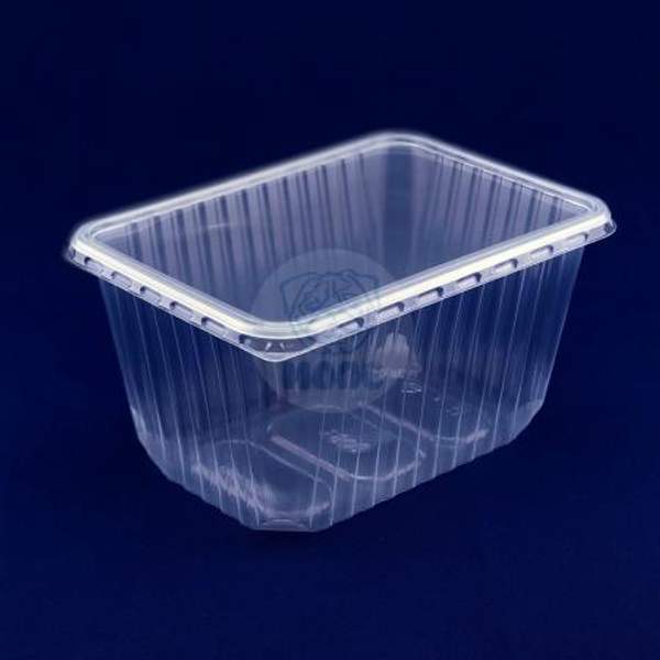 Контейнер одноразовый прямоугольный с крышкой 1,5л 100/500