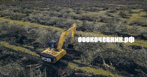 Корчевание пней, деревьев, лесополос,садов