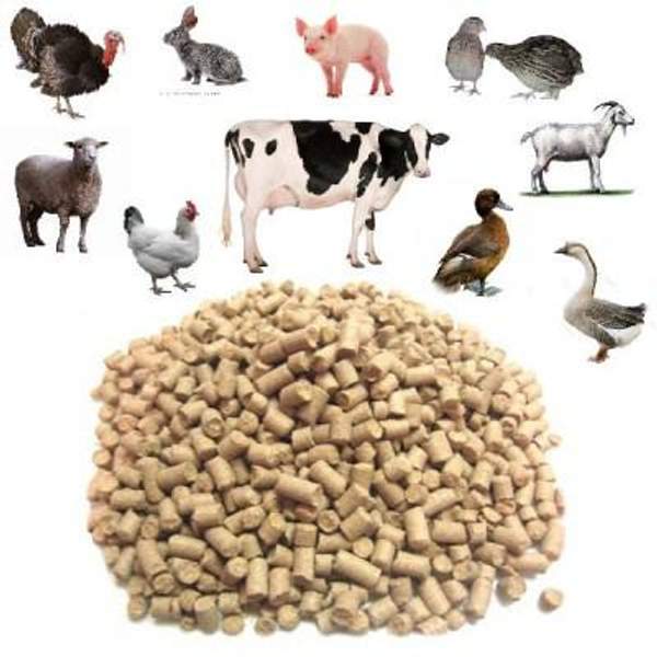 Корма оптом