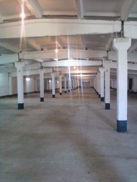 Коровник бывший продаю