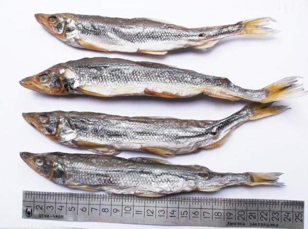 Корюшка корюшка без икры 19+