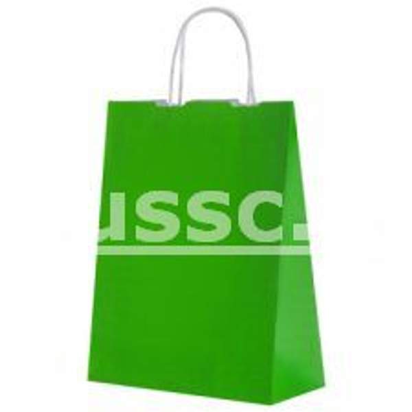 Крафт пакет с кручеными ручками «Травяной», 32х23х12 см