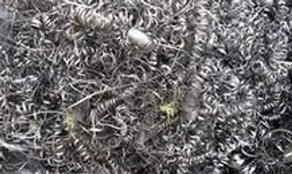 Куплю нерж стружку 10 %