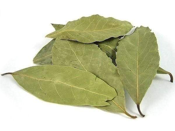 Лавровый лист