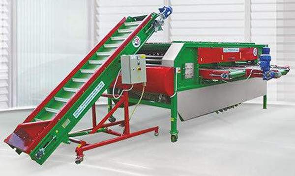 Лента с захватами для линии сортировки-калибровки корнеклубнеплодов