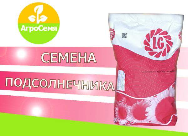 Лимагрейн гибриды семян подсолнечника лг 50270