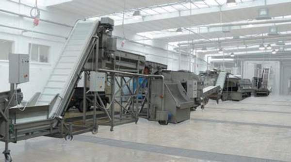 Линия для подготовки зеленого горошка к заморозке