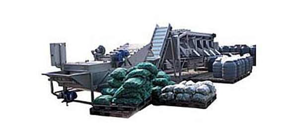 Линия мойки и калибровки огурцов