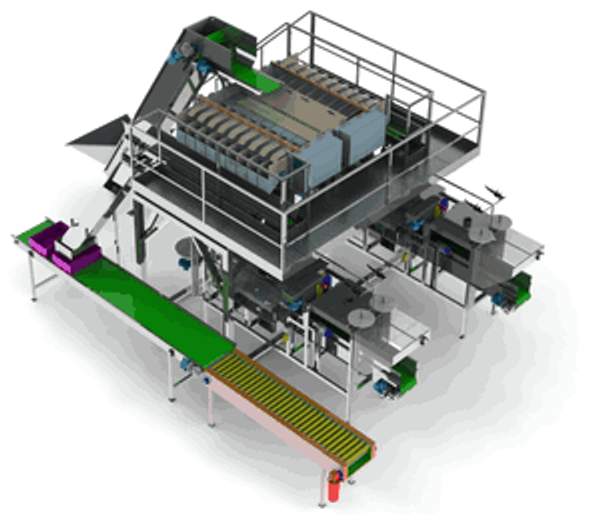 Линия переработки грибов