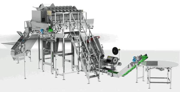 Линия переработки картофеля