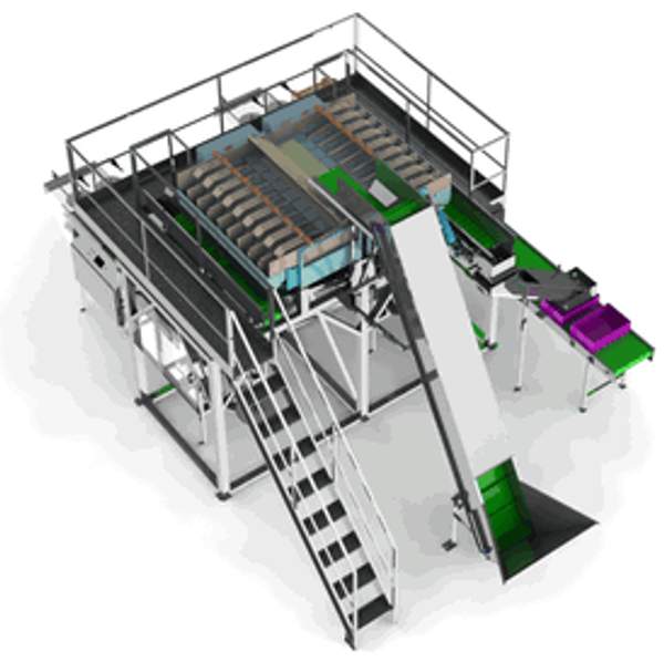 Линия переработки зелени, салата, ароматических трав