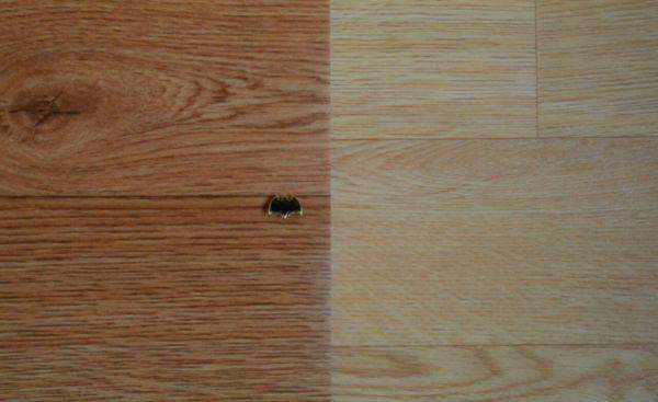 Линолеум коммерческий Premium арт 3459/1159