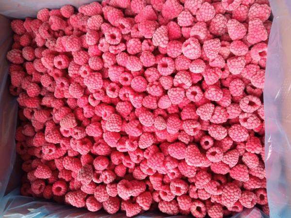 Малина 95/5 замороженная