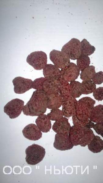 Малина сушеная целая ягода