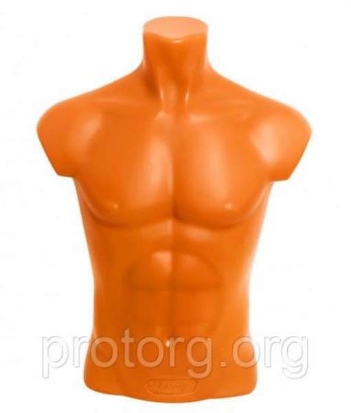 Манекен объемный торс мужской «Карон»