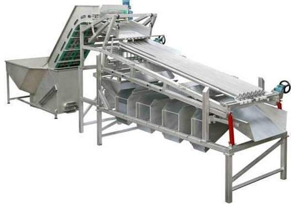 Машина для сортировки рыбы