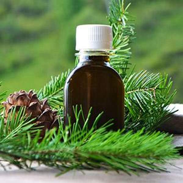 Масло для массажа (хвойное) 100 мл.