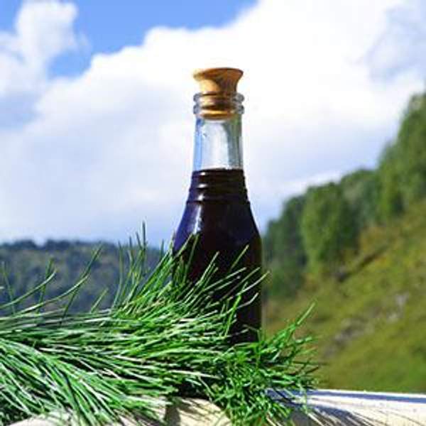 Масло кедровых побегов 250 мл.