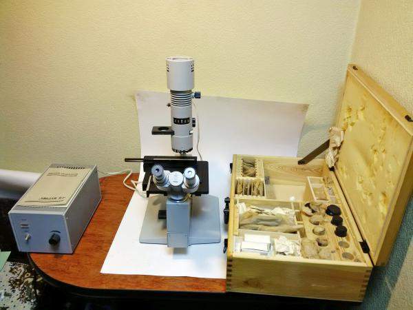 Микроскоп Биолам П-1 инвертированный