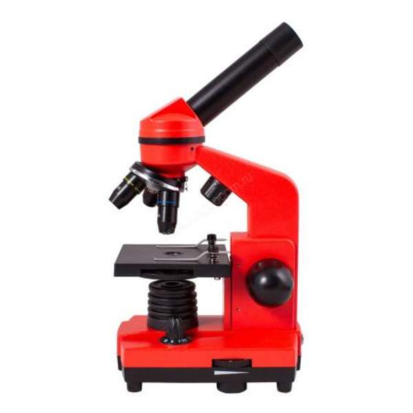 Микроскоп Levenhuk Rainbow 2L Orange (Апельсин)