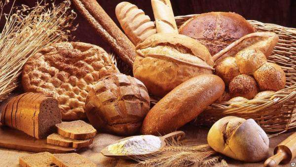 Мини пекарня на 576 булок в смену