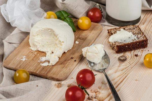 Мини цех по производству мягкого крем сыра и творога