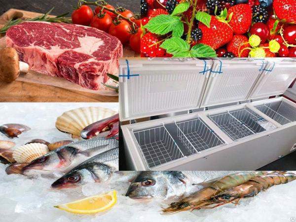 Морозильный ларь Aucma BD-818 V-818 литров